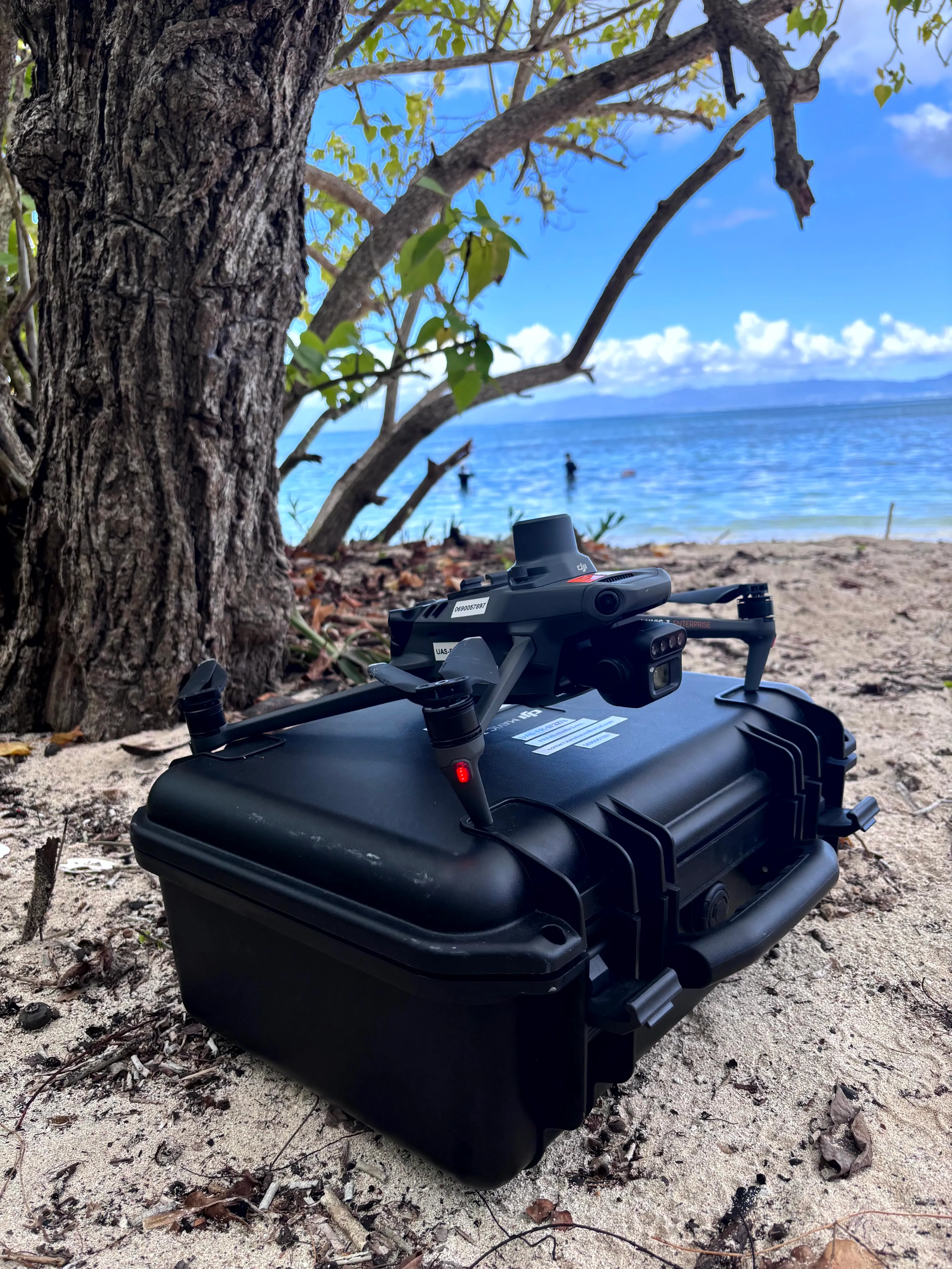 Drone DJI M3M Multispectral en action en Guadeloupe